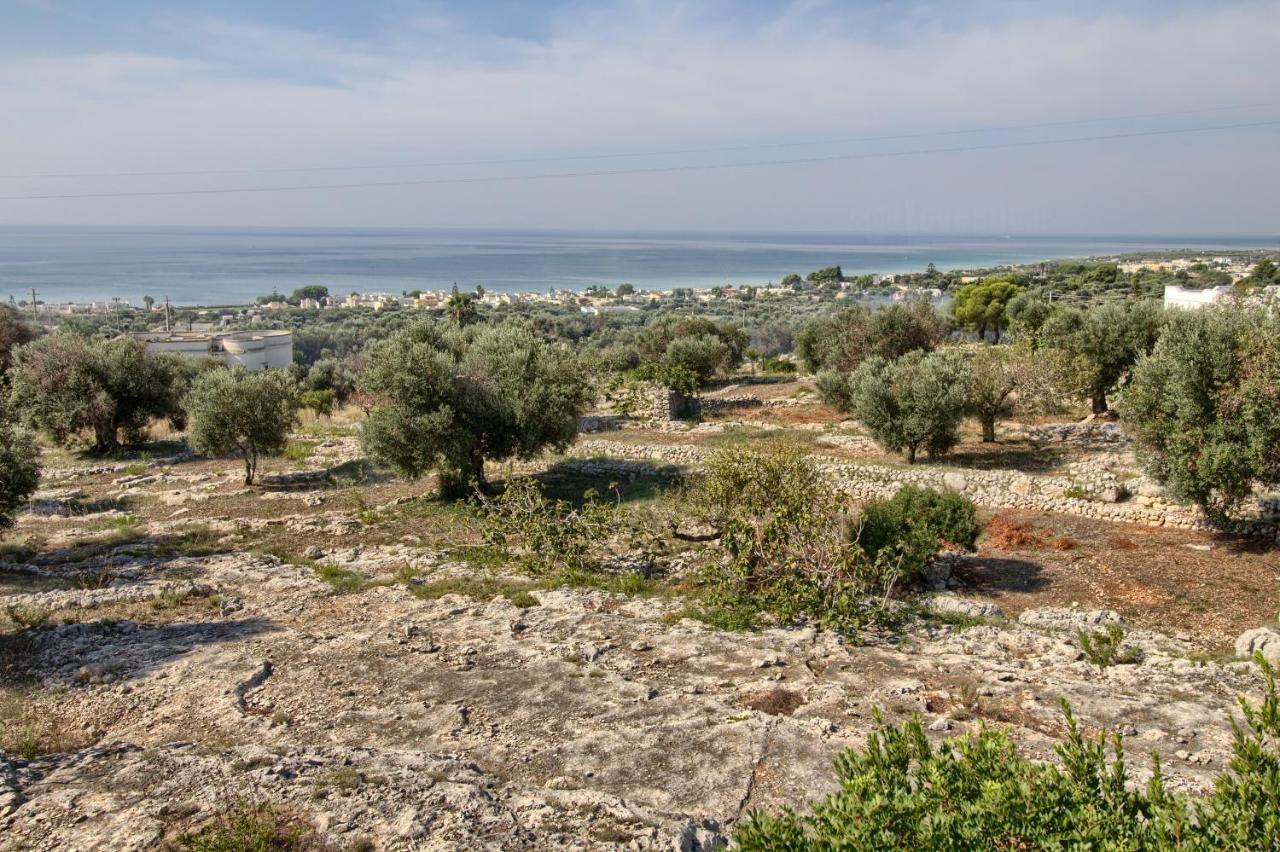 Li Cantori By Lovesud Marina Di Pescoluse Εξωτερικό φωτογραφία